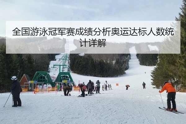 全国游泳冠军赛成绩分析奥运达标人数统计详解